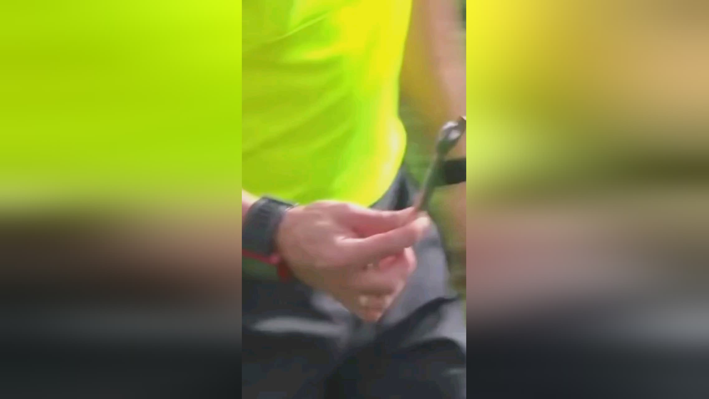 动员